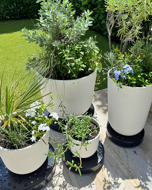 Rolling Planter Stand with Wheels: Black Coated or Corten Steel - 3 Sizes