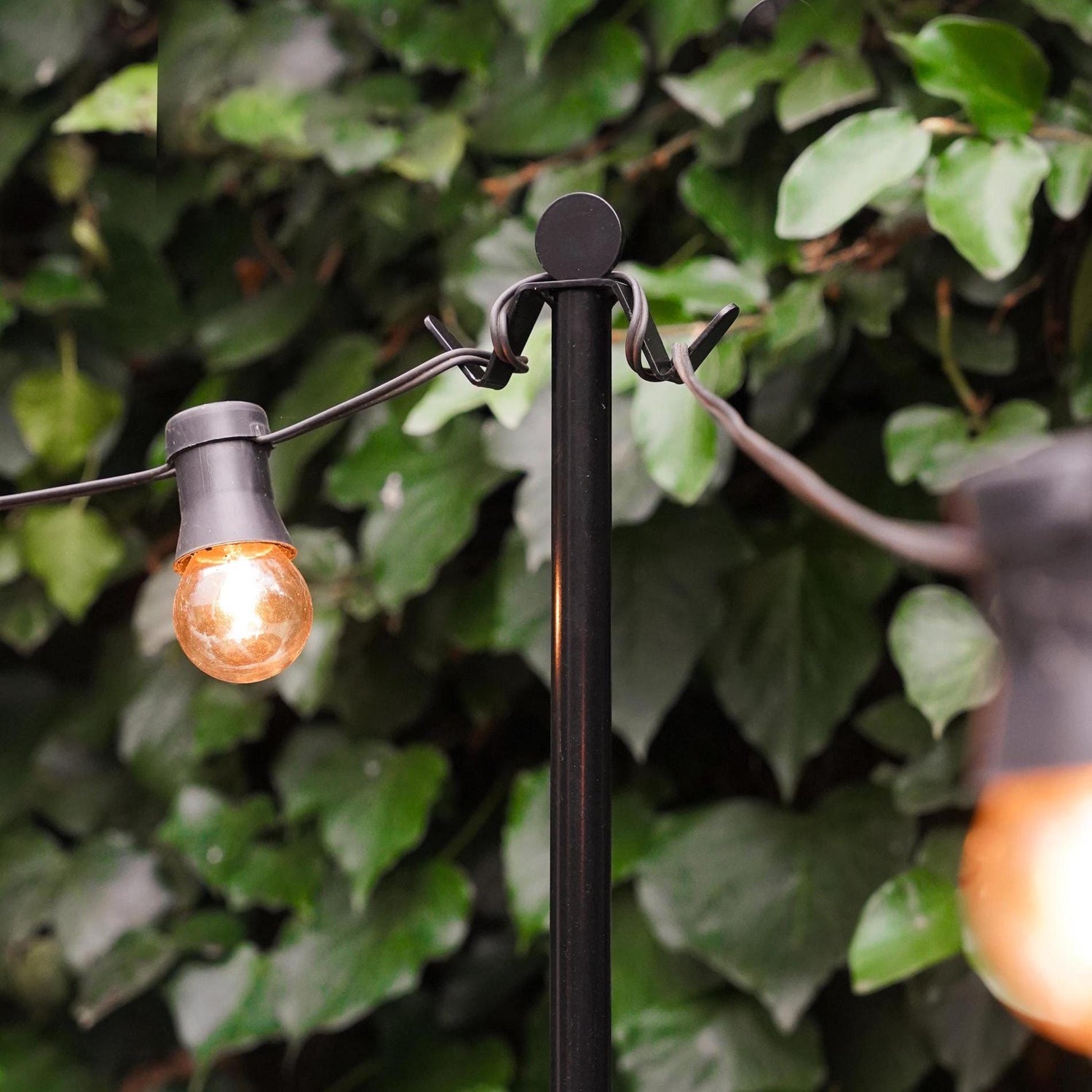 Garden Accessories