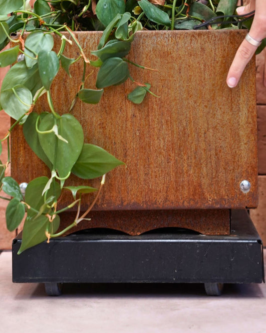 Rolling Plant Stand with Wheels for Squared Pots - Black Finish - 12" or 16"
