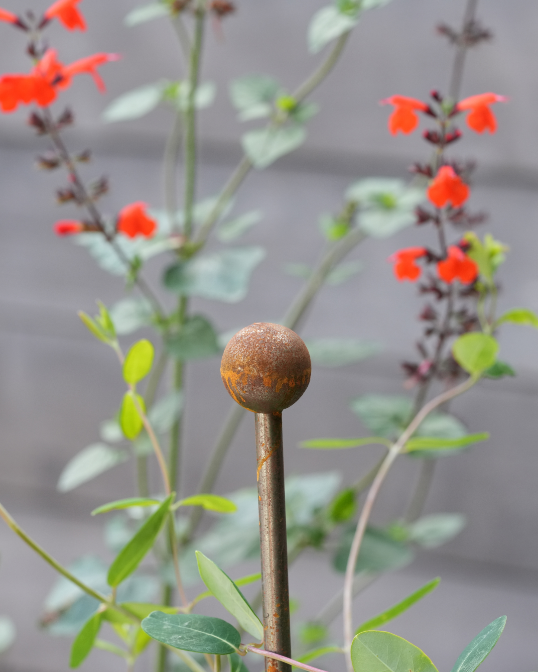 45" Metal Plant Stake