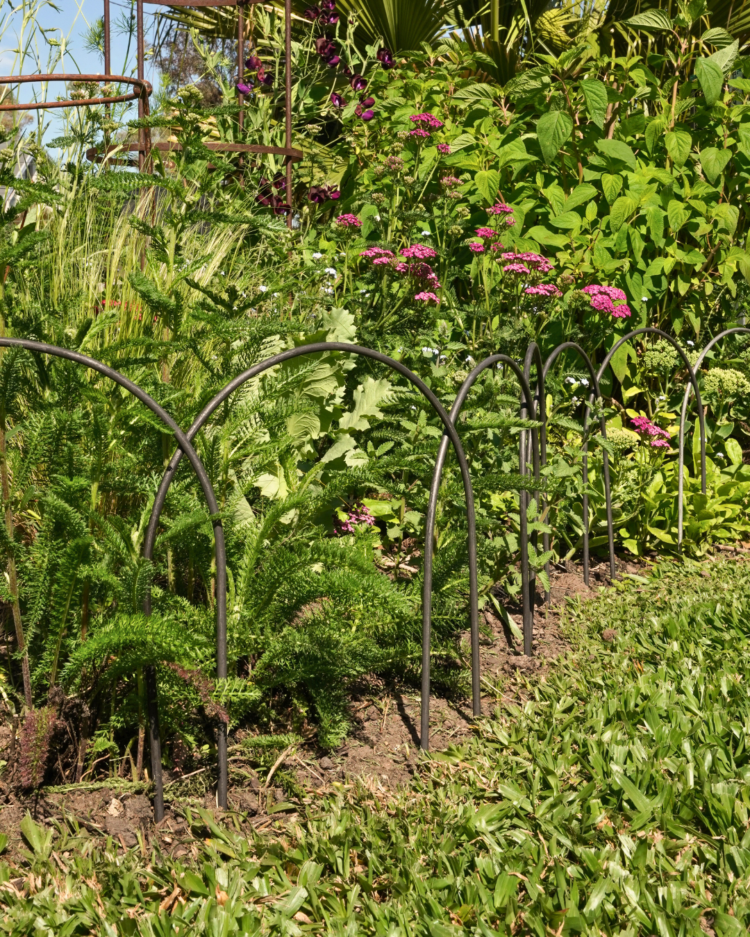Small Metal Garden Border Fence: 18" Tall, Black Coated or Rustic Steel