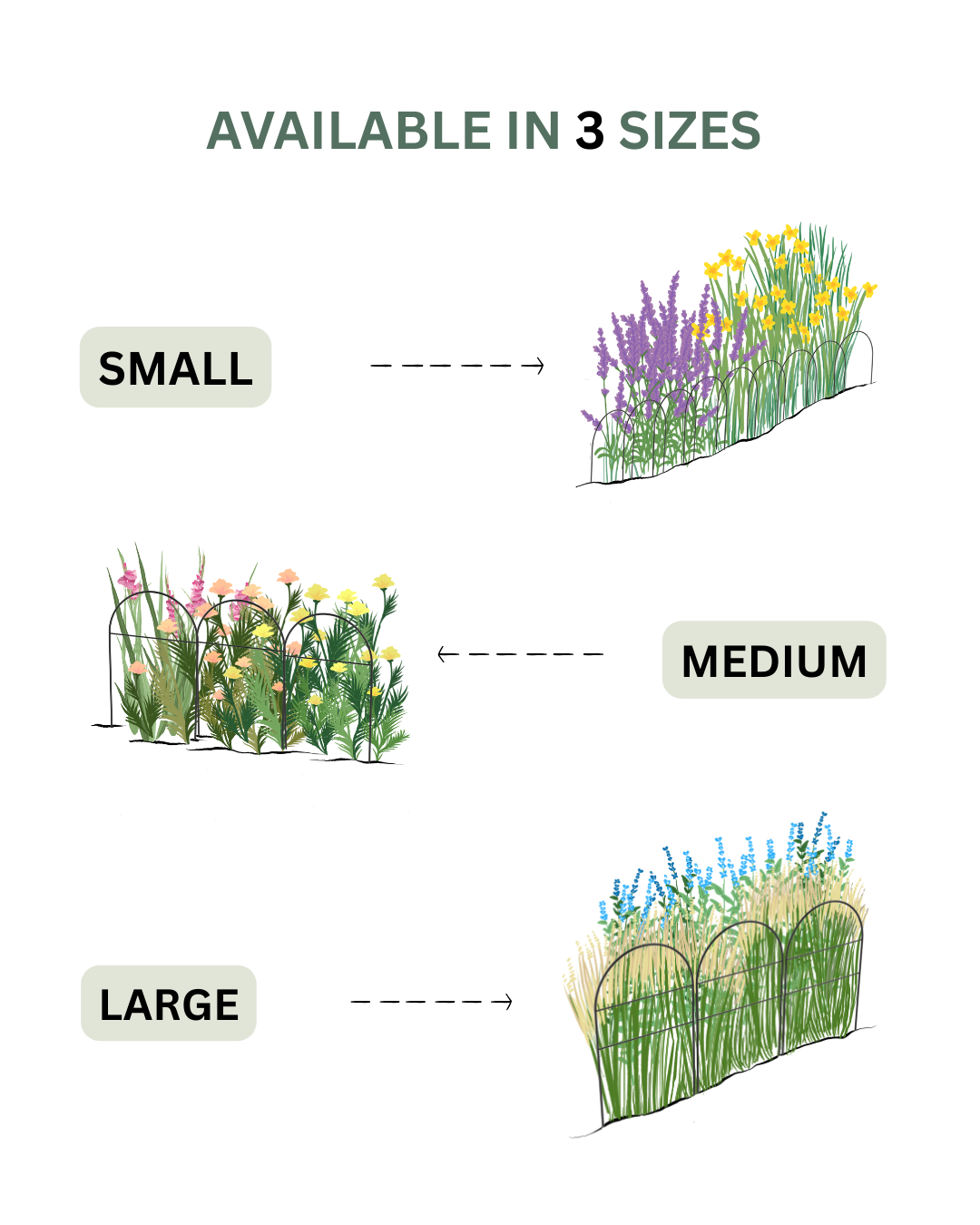 Metal Garden Border Fence: Medium Size, 25.6" Tall, Black Coated or Rustic Steel