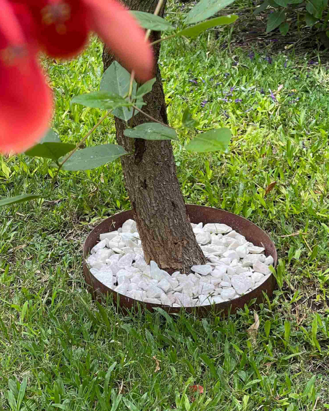 Garden Border Ring - 12", 15" & 18" diameter, Black or Unpainted Finish