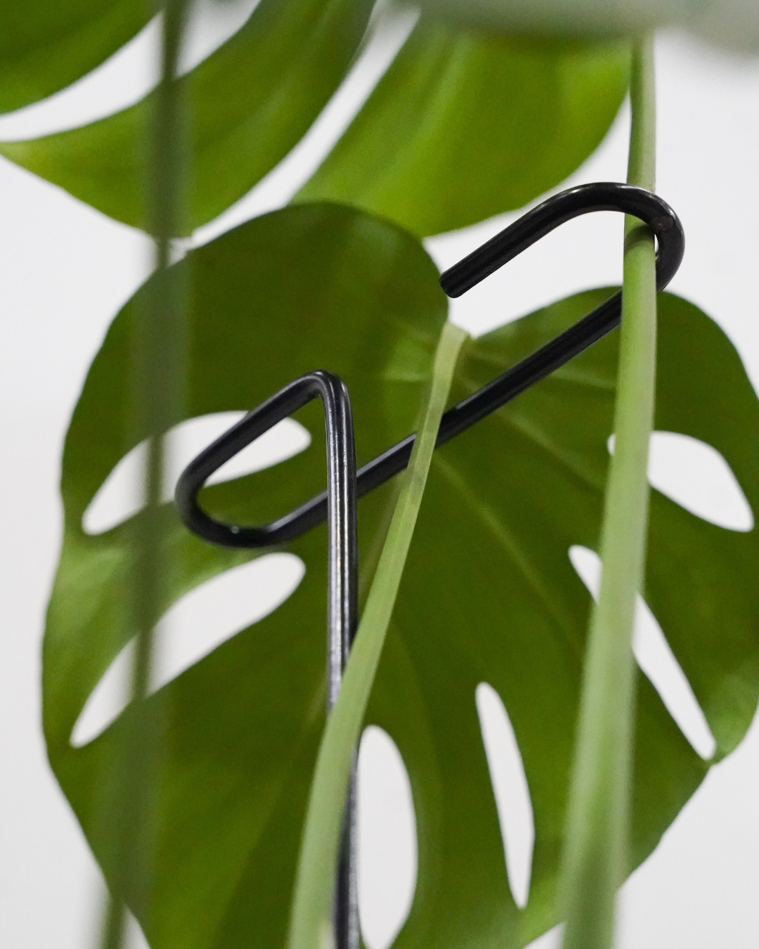 Metal Plant Stake with Clip: 22" Tall Steel Plant Support, Black Coated Finish