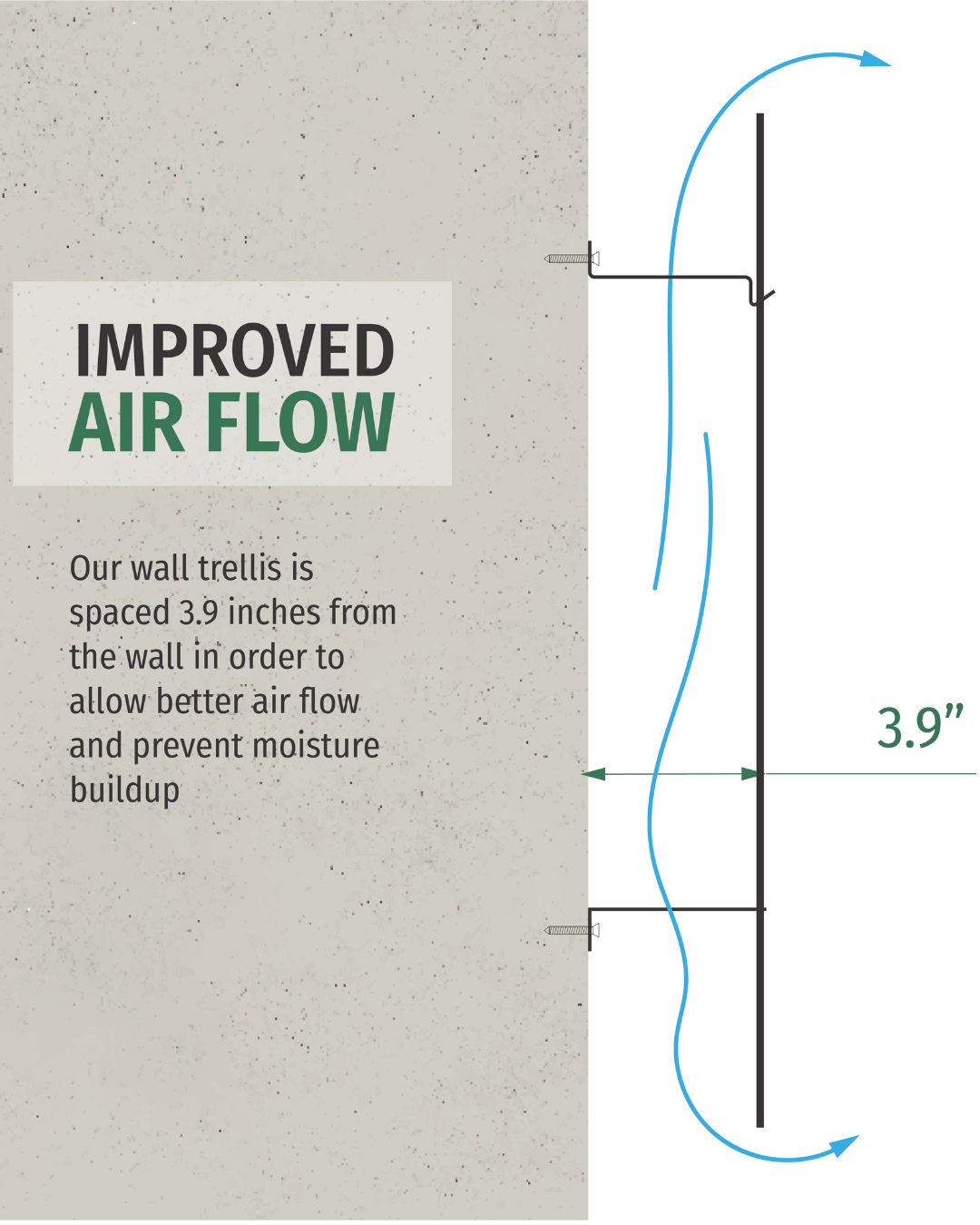 Metal Garden Wall Trellis: Plant Support for Climbing Plants -  Black, White or Rustic Finish