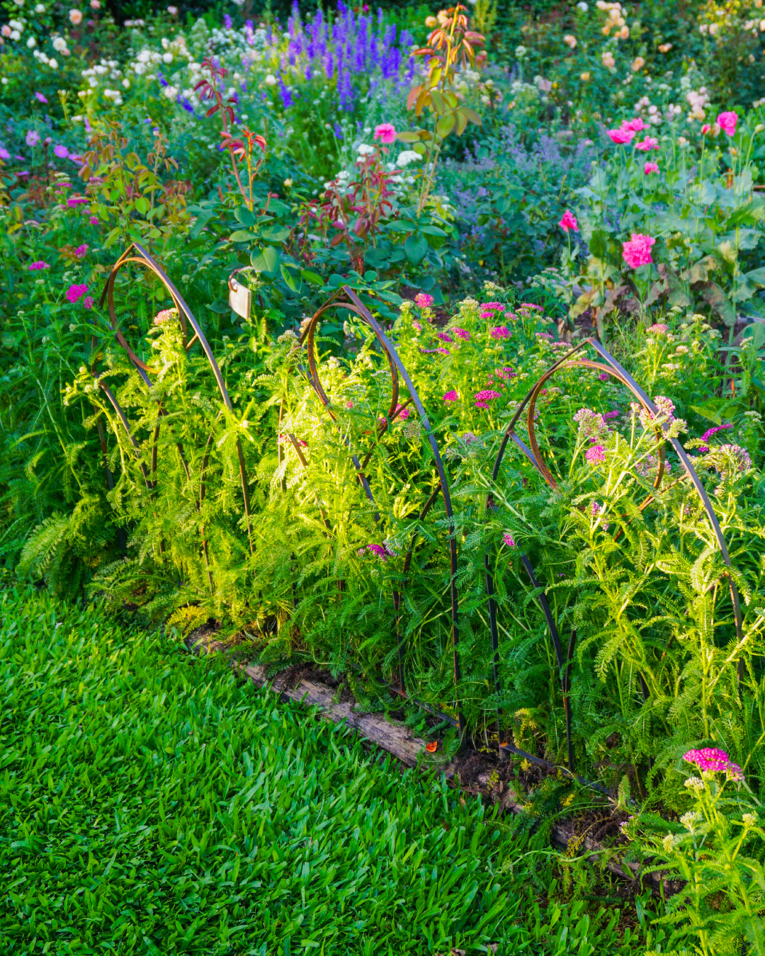 Gothic Metal Garden Trellis - Steel Plant Support & Fence Border