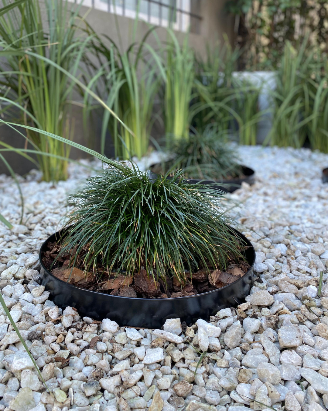 Garden Border Ring - 12", 15" & 18" diameter, Black or Unpainted Finish