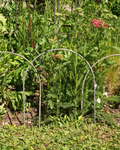Small Metal Garden Border Fence: 18" Tall, Black Coated or Rustic Steel