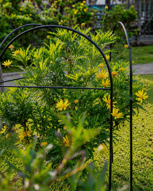 Metal Garden Border Fence: Medium Size, 25.6" Tall, Black Coated or Rustic Steel