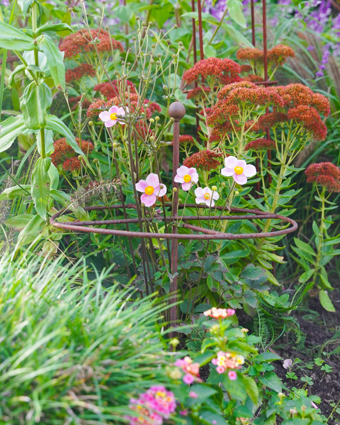 Metal Go-Through Plant Stake: Helicopter Style, Black or Rustic Finish