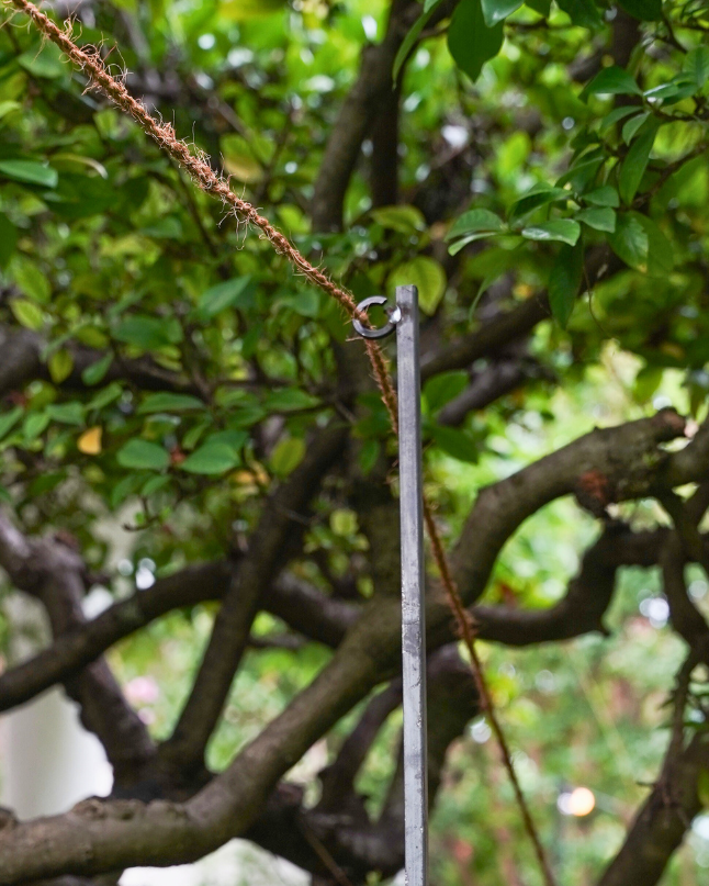 Steel Garden Border Posts: 39" Stakes for Garden Edging & Walkways, Black Coated or Rustic Finish