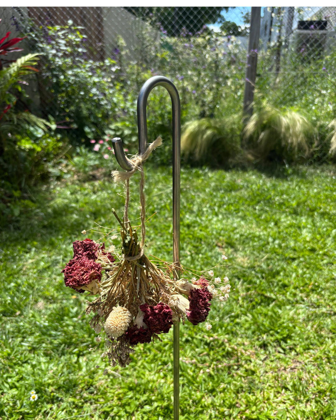 Steel Shepherd Hook: 31" Decorative Garden Hanger, Black Coated or Rustic Steel Finish