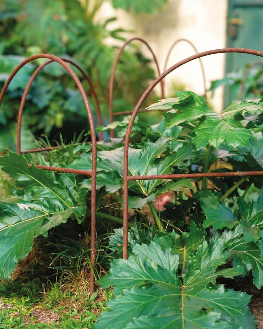 Metal Garden Border Fence: Medium Size, 25.6" Tall, Black Coated or Rustic Steel