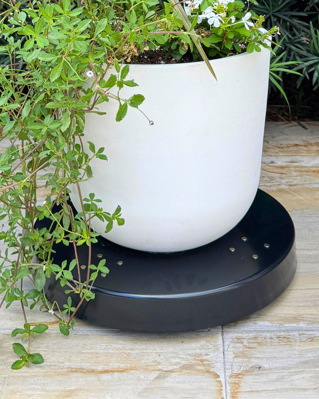 Rolling Planter Stand with Wheels: Black Coated or Corten Steel - 3 Sizes