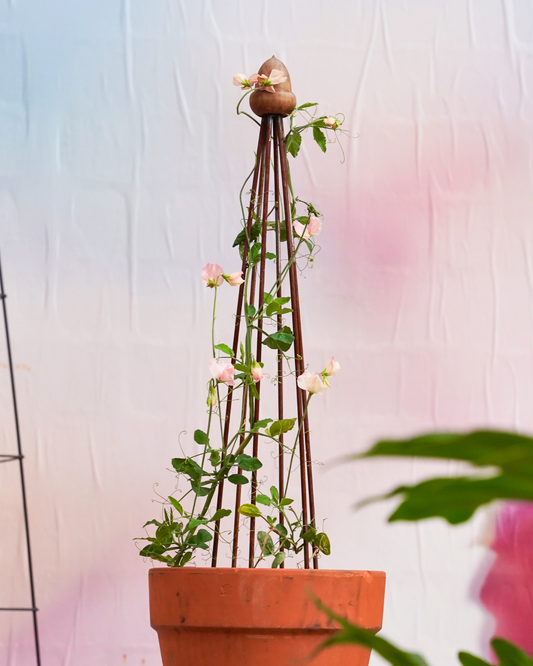 Obelisk Garden Trellis – 42.5” Small | Black or Unpainted Steel Finish