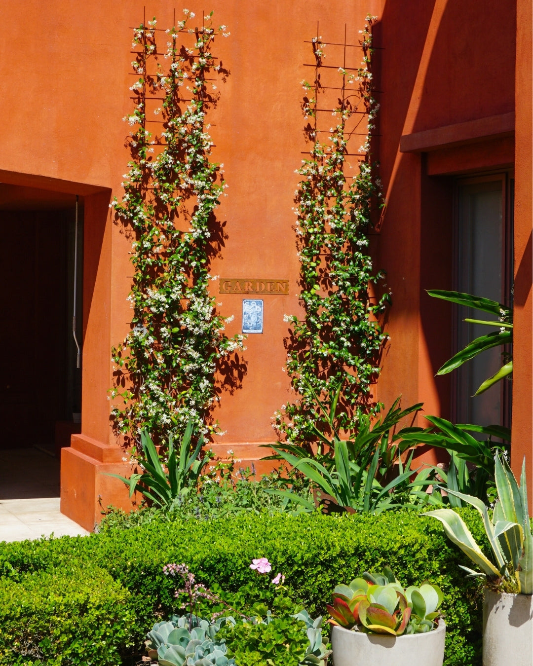 Metal Garden Wall Trellis: Plant Support for Climbing Plants -  Black, White or Rustic Finish