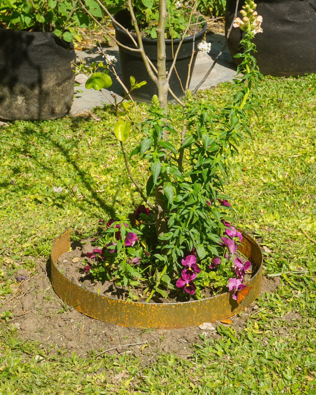 Garden Border Ring - 12", 15" & 18" diameter, Black or Unpainted Finish