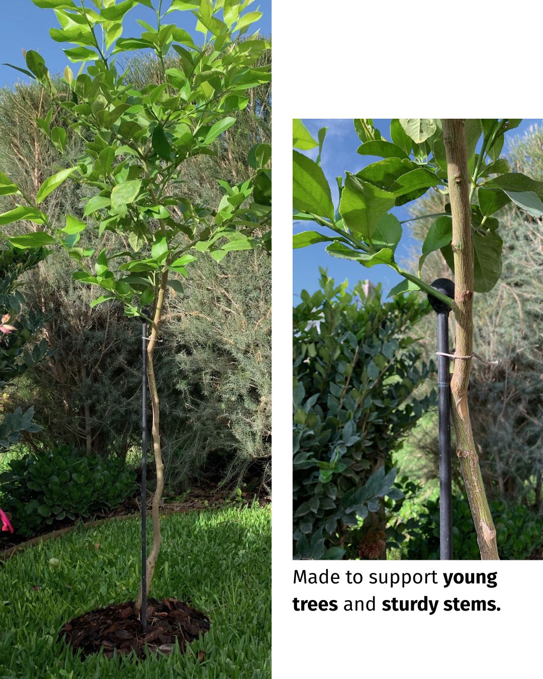 45" Metal Plant Stake