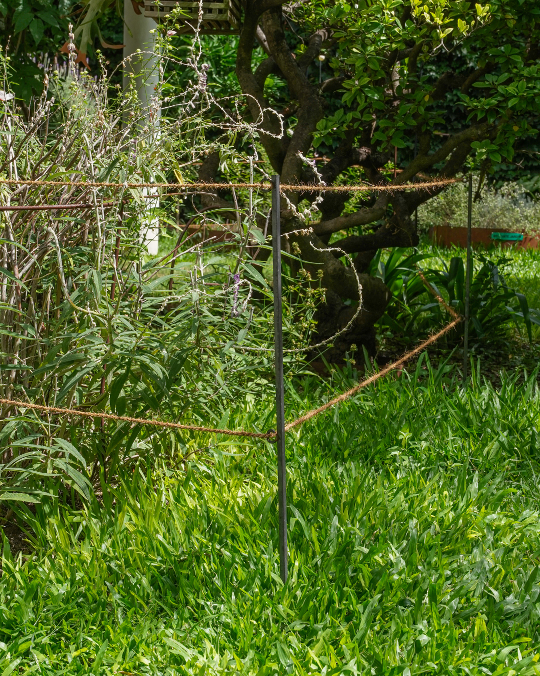 Steel Garden Border Posts: 34" Stakes for Garden Edging & Walkways, Black Coated or Rustic Finish