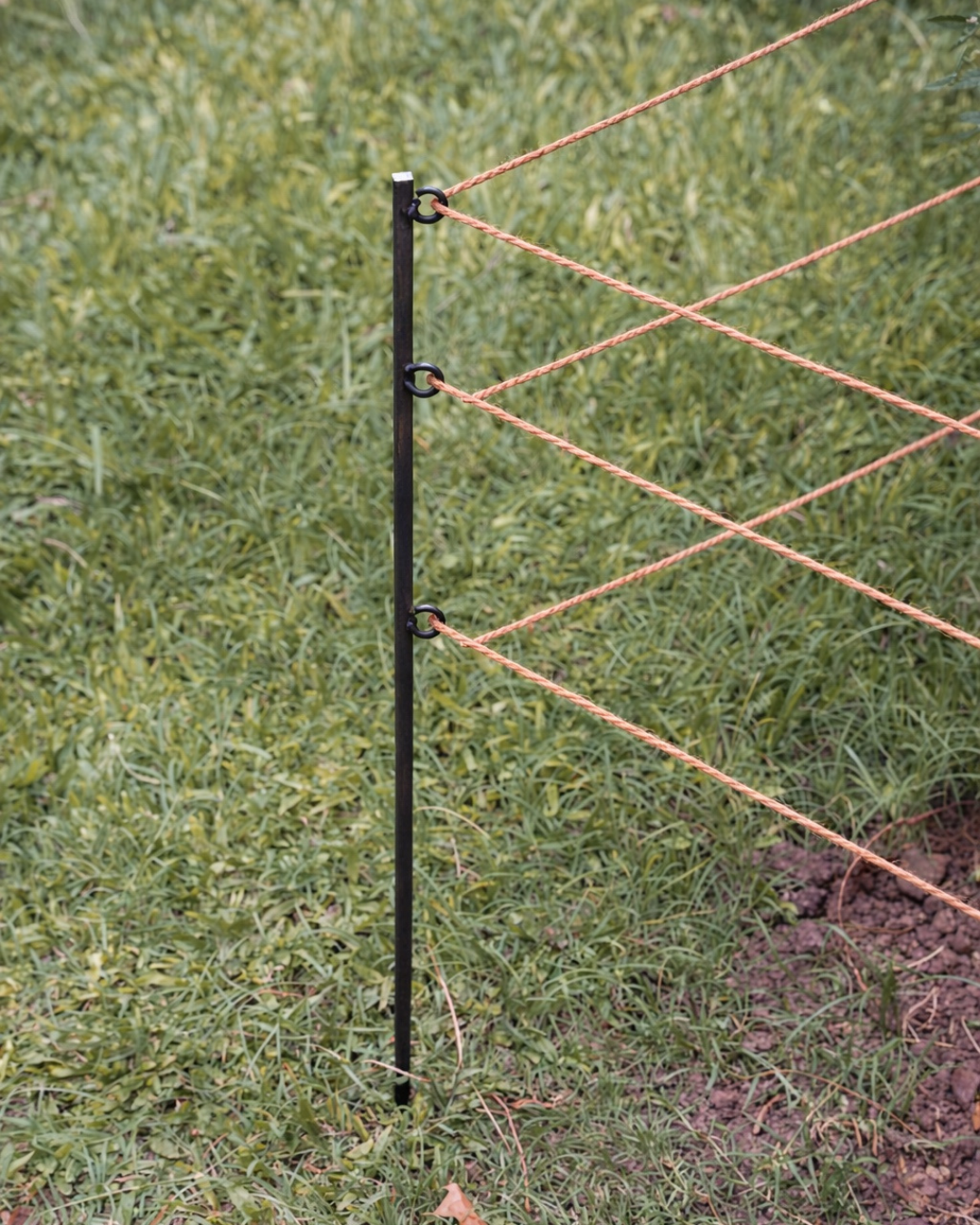 Steel Garden Border Posts: 39" Stakes for Garden Edging & Walkways, Black Coated or Rustic Finish