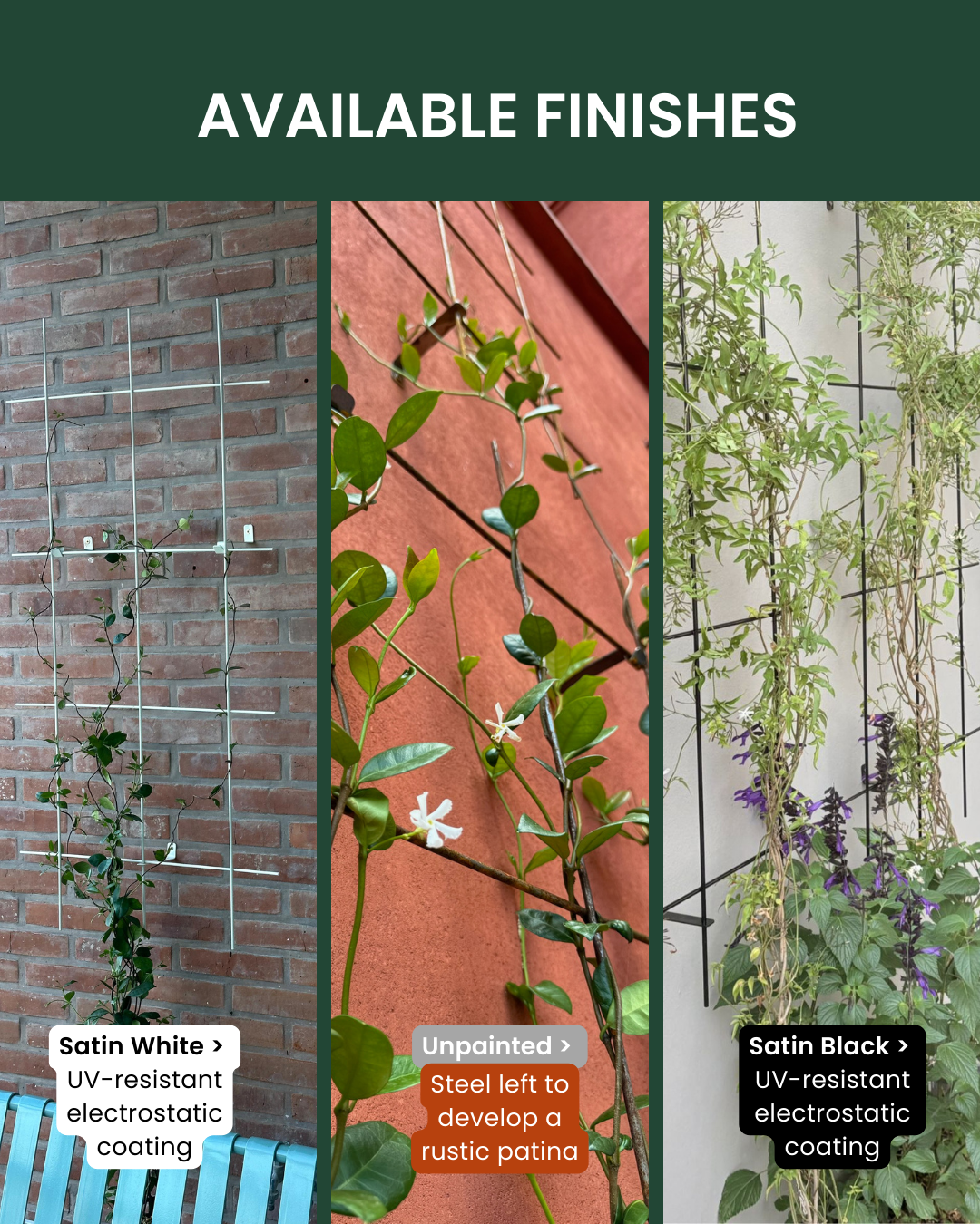 Metal Garden Wall Trellis: Plant Support for Climbing Plants -  Black, White or Rustic Finish
