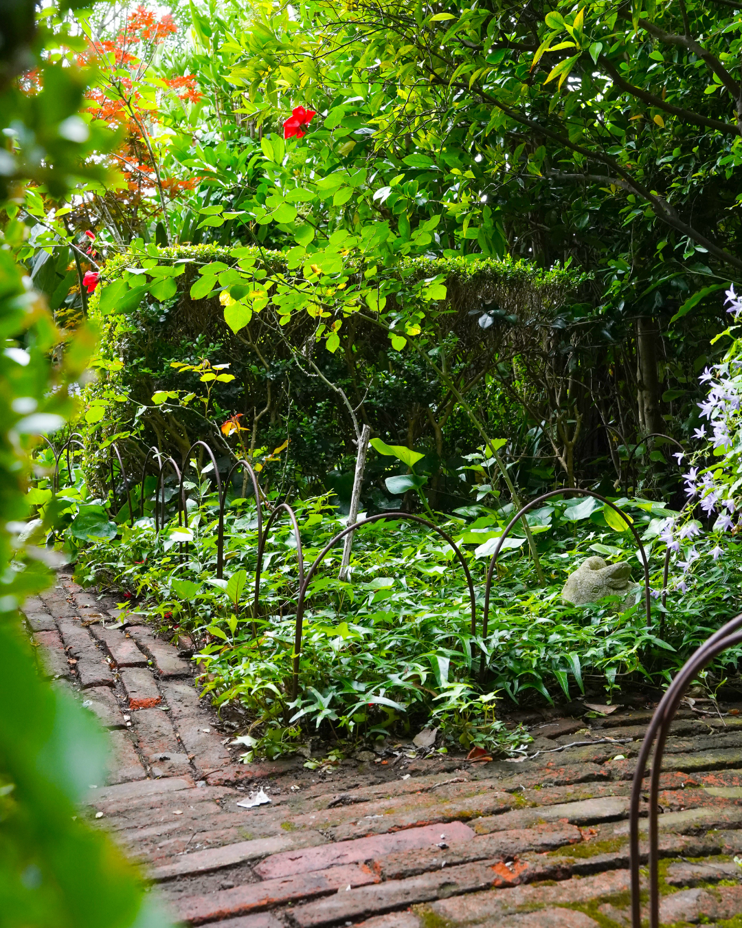 Small Metal Garden Border Fence: 18" Tall, Black Coated or Rustic Steel