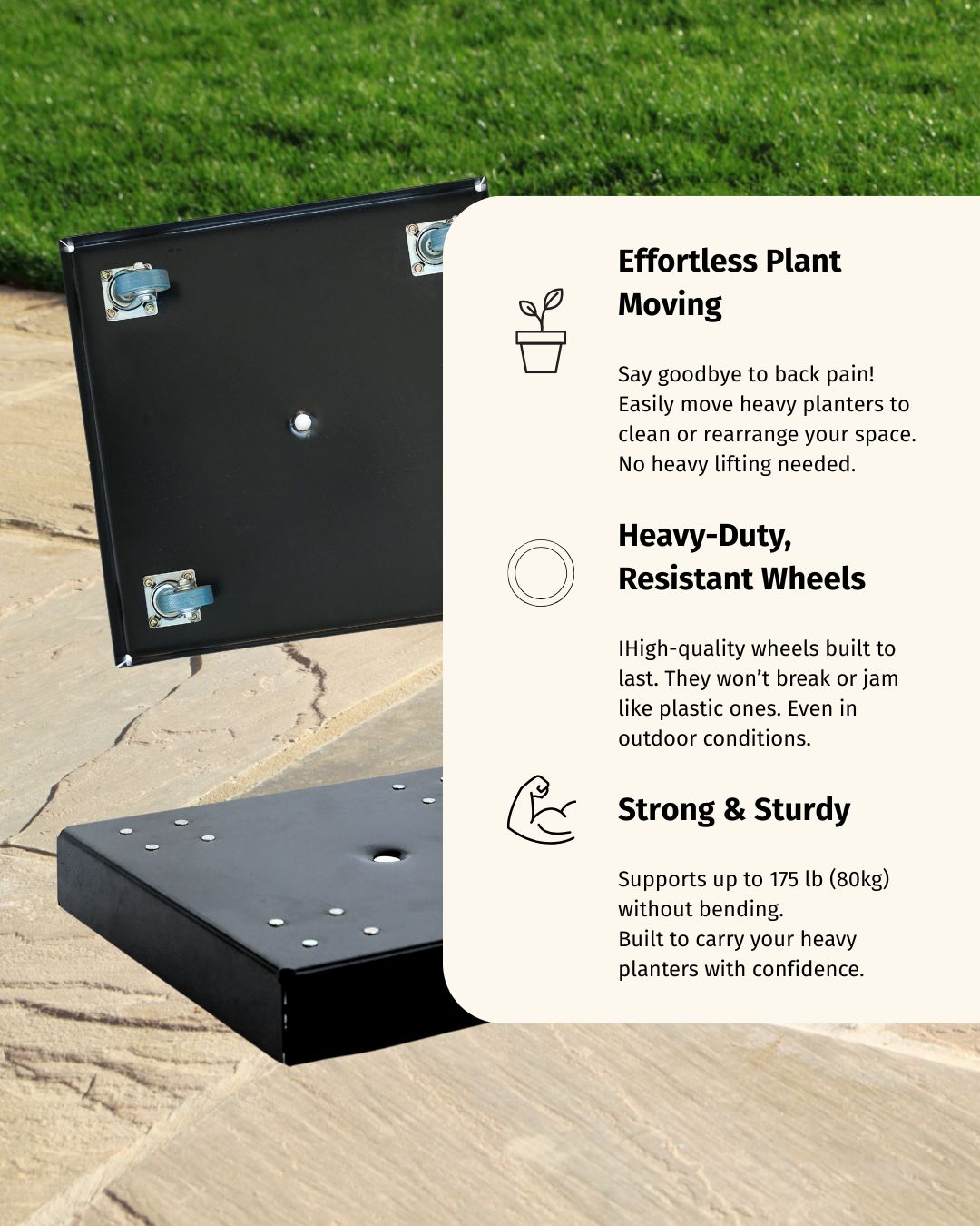Rolling Plant Stand with Wheels for Squared Pots - Black Finish - 12" or 16"