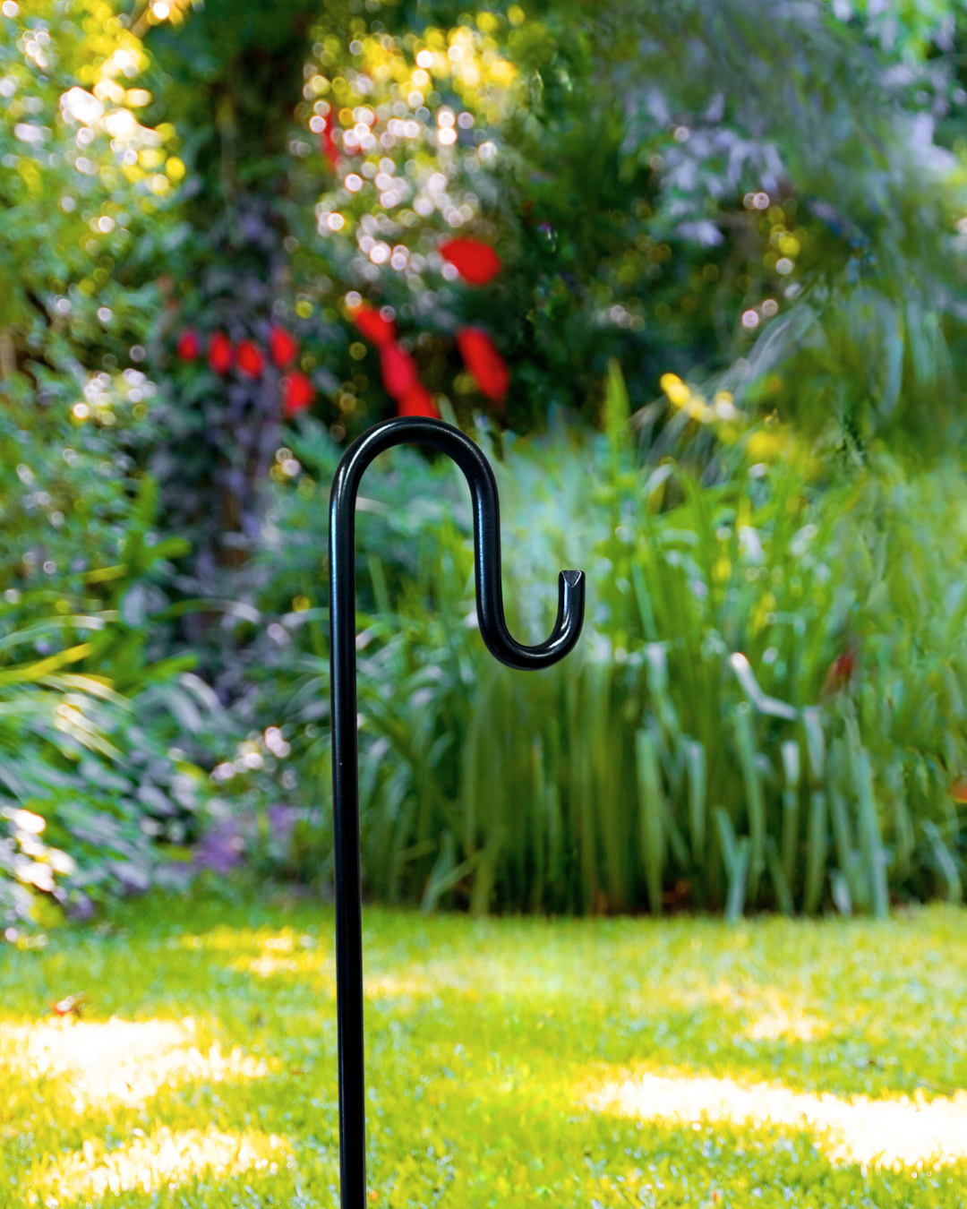 Steel Shepherd Hook: 31" Decorative Garden Hanger, Black Coated or Rustic Steel Finish