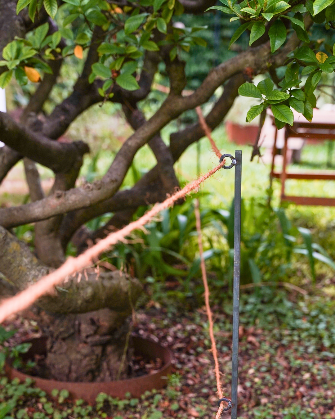 Steel Garden Border Posts: 34" Stakes for Garden Edging & Walkways, Black Coated or Rustic Finish