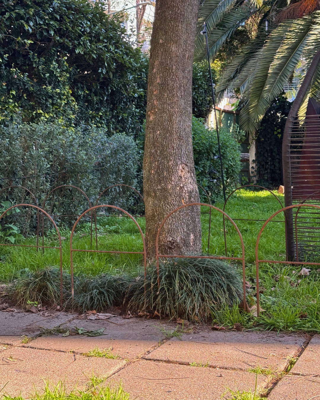 Metal Garden Border Fence: Medium Size, 25.6" Tall, Black Coated or Rustic Steel