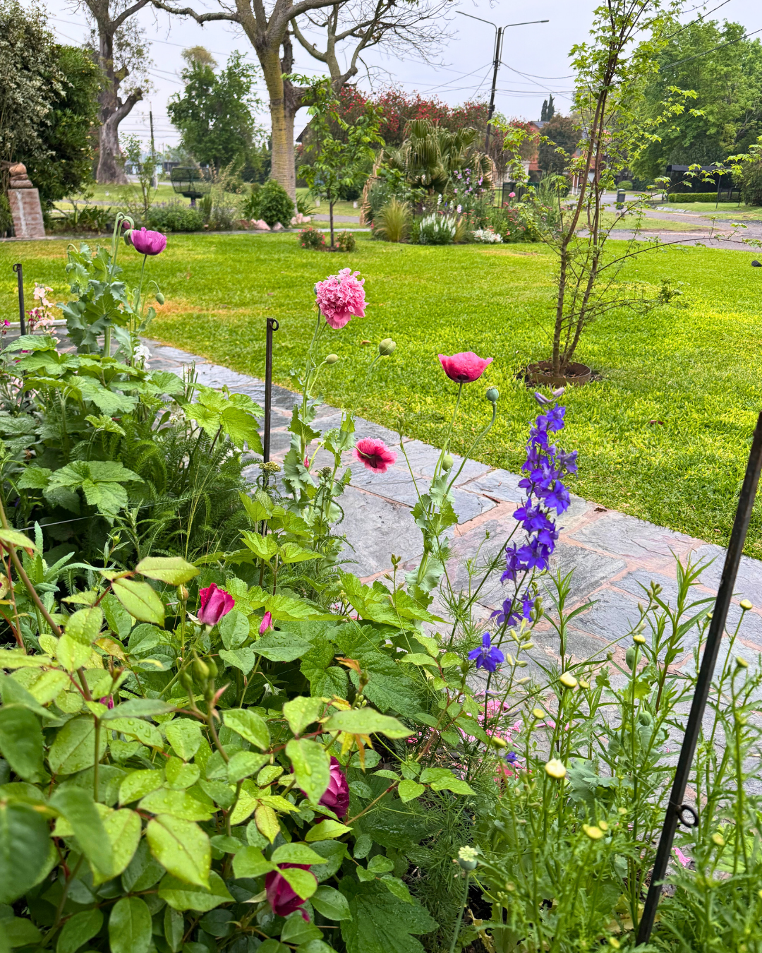 Steel Garden Border Posts: 34" Stakes for Garden Edging & Walkways, Black Coated or Rustic Finish