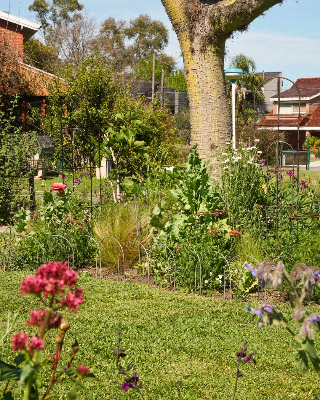 Small Metal Garden Border Fence: 18" Tall, Black Coated or Rustic Steel