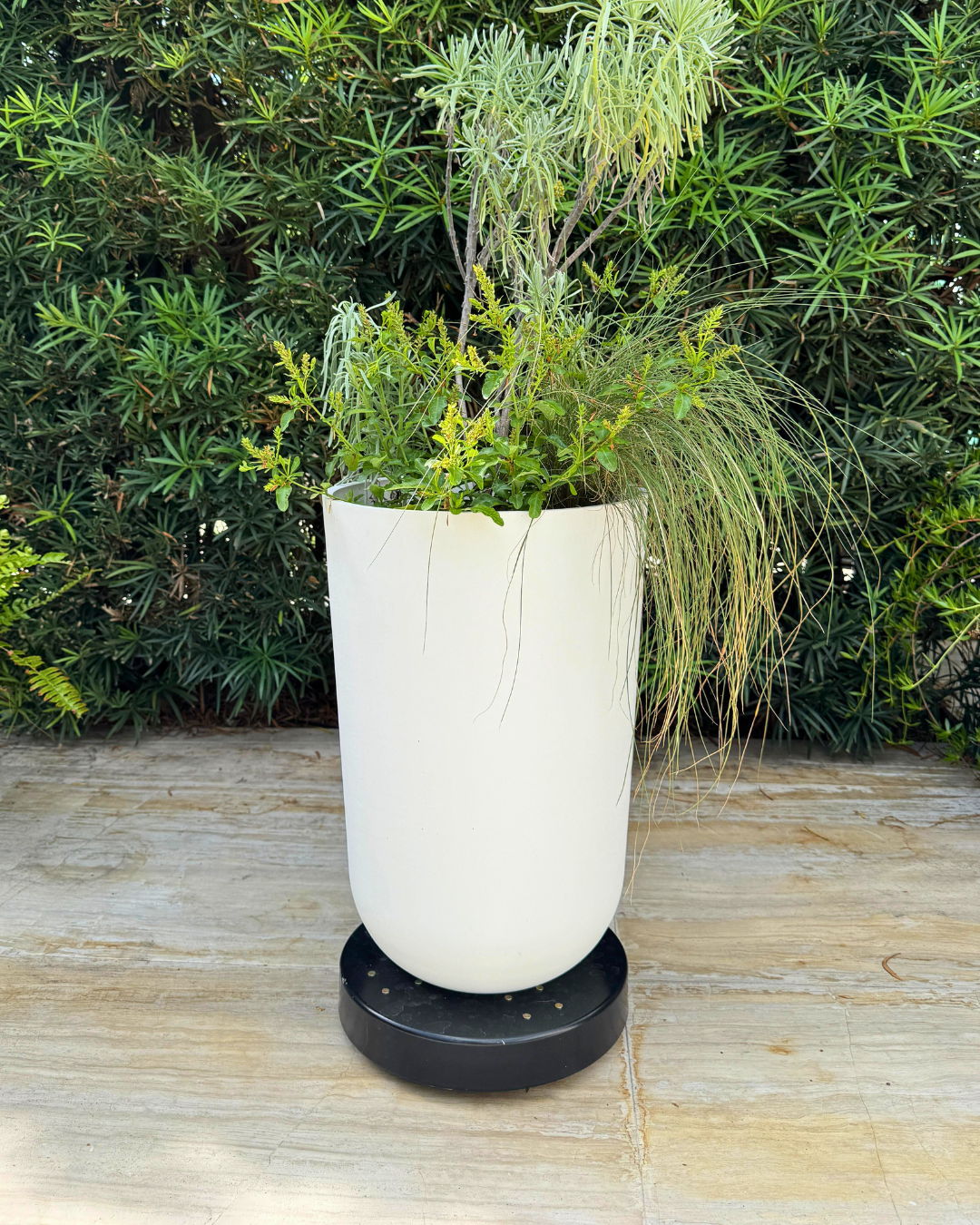 Rolling Planter Stand with Wheels: Black Coated or Corten Steel - 3 Sizes