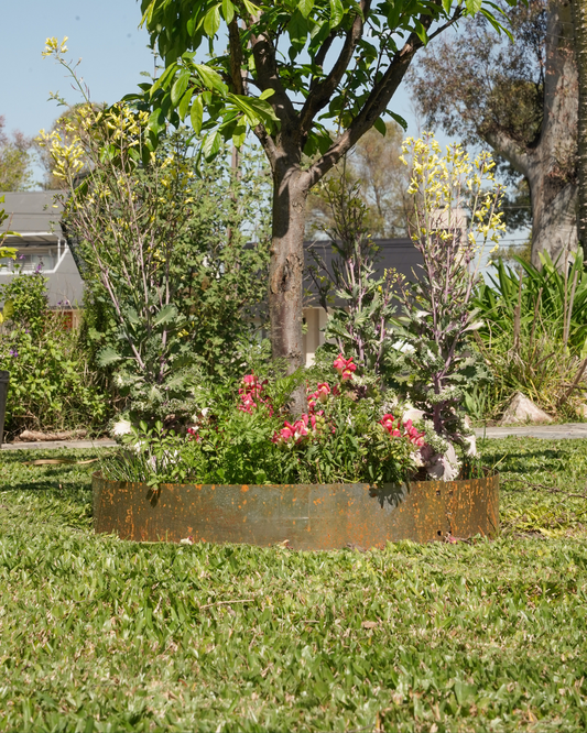 Garden Border Ring - 12", 15" & 18" diameter, Black or Unpainted Finish