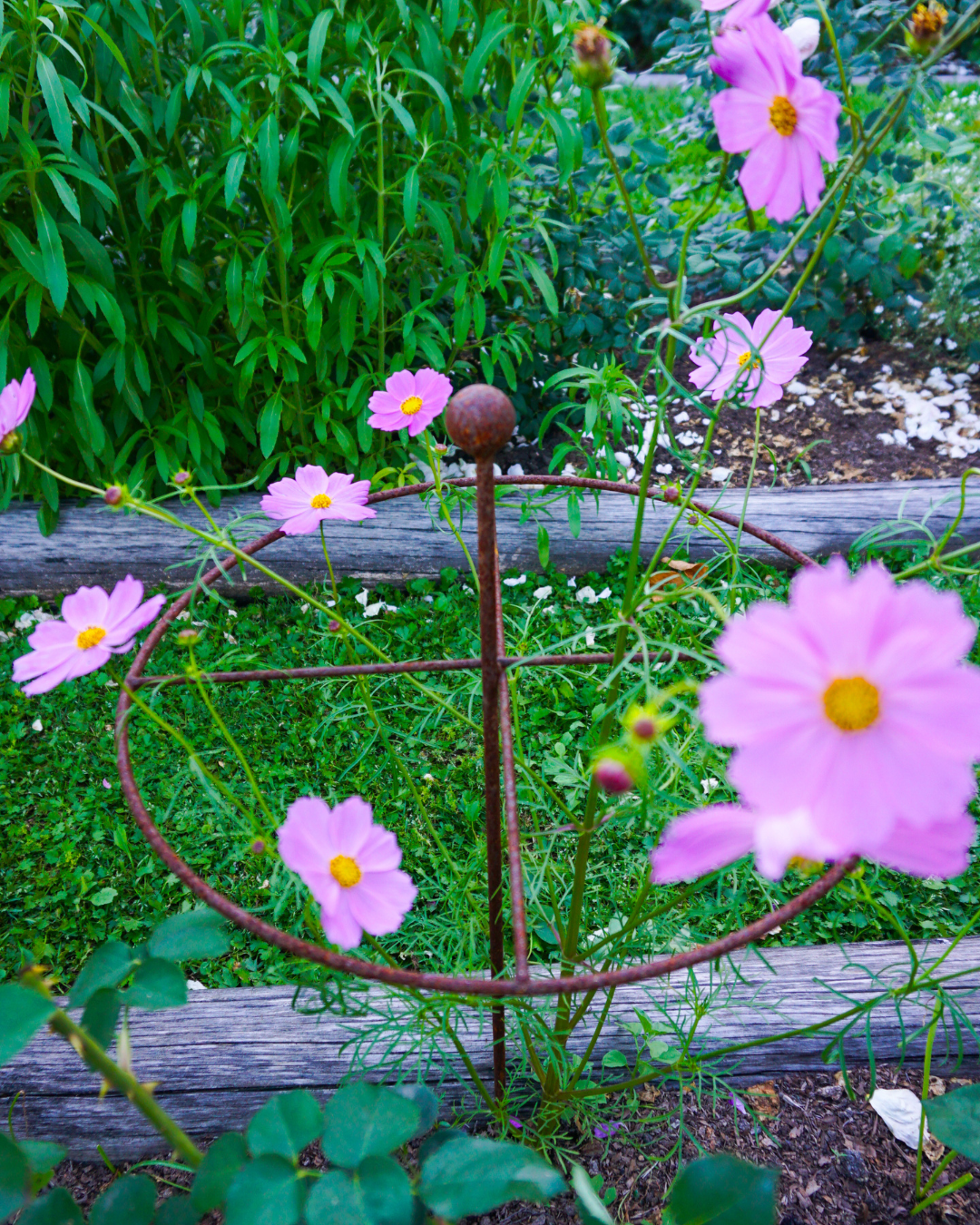 Metal Go-Through Plant Stake: Helicopter Style, Black or Rustic Finish