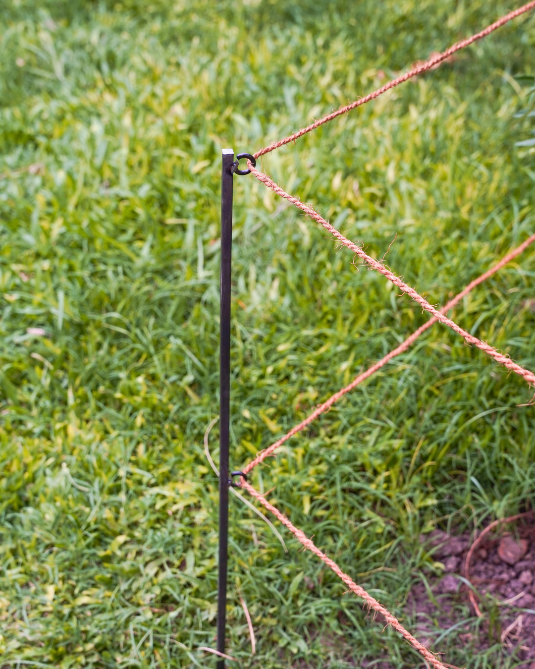 Steel Garden Border Posts: 34" Stakes for Garden Edging & Walkways, Black Coated or Rustic Finish