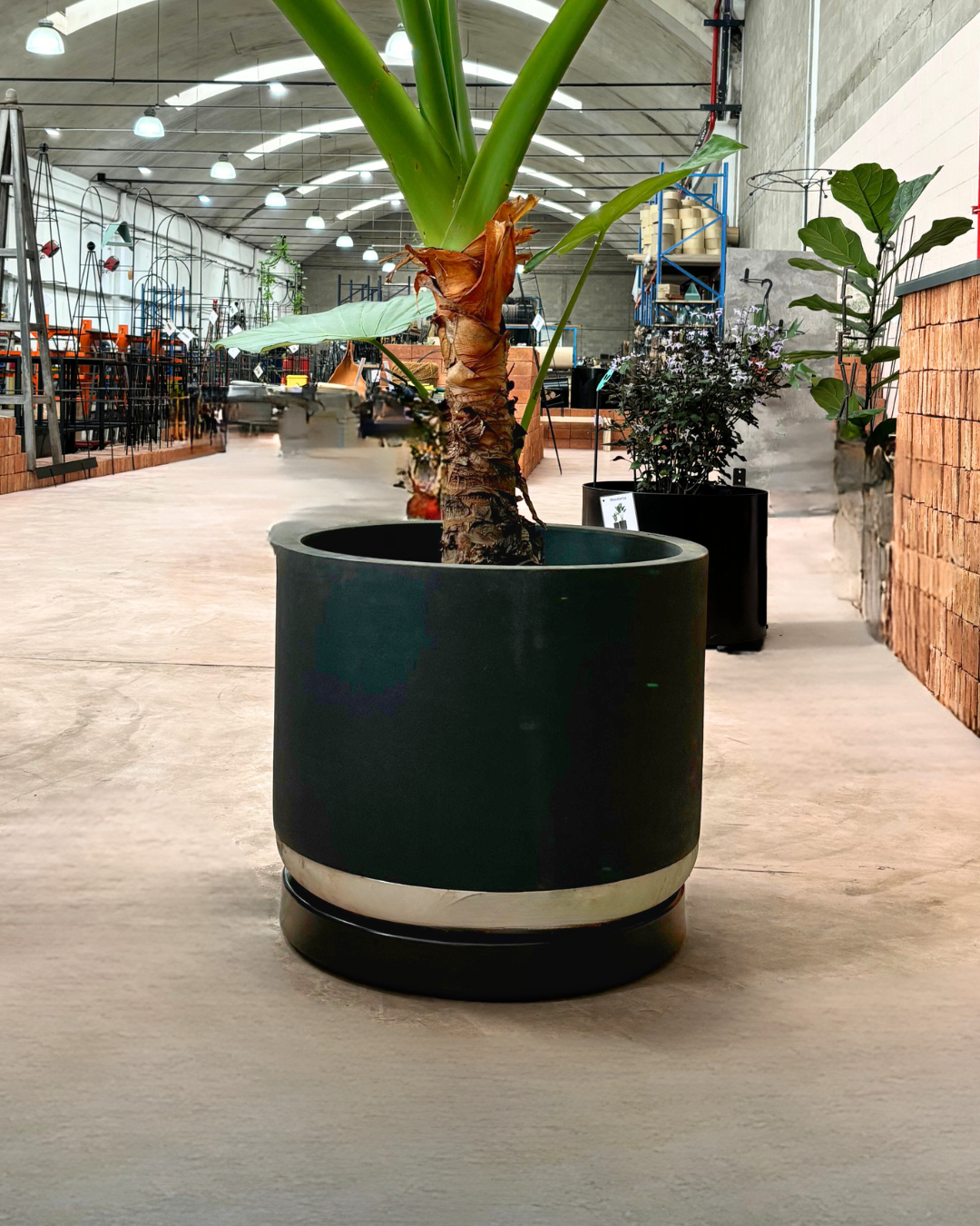 Rolling Planter Stand with Wheels: Black Coated or Corten Steel - 3 Sizes