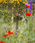 Obelisk Garden Trellis – 42.5” Small | Black or Unpainted Steel Finish