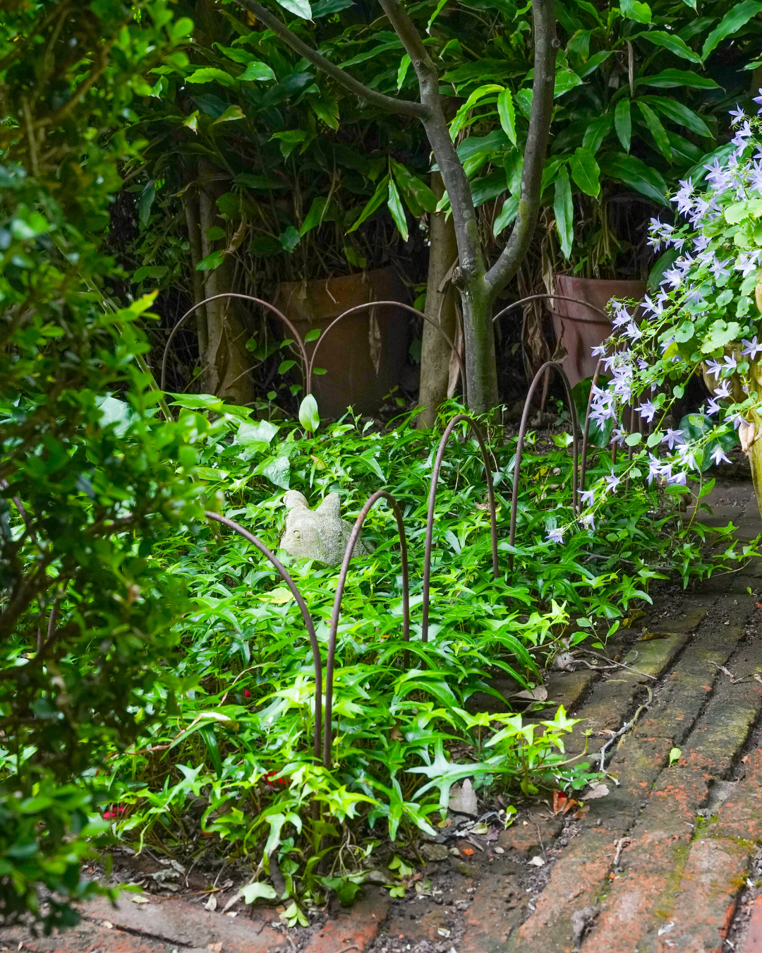 Small Metal Garden Border Fence: 18" Tall, Black Coated or Rustic Steel