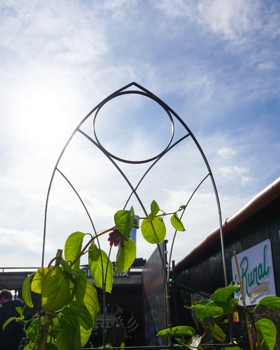 Gothic Metal Garden Trellis - Steel Plant Support & Fence Border