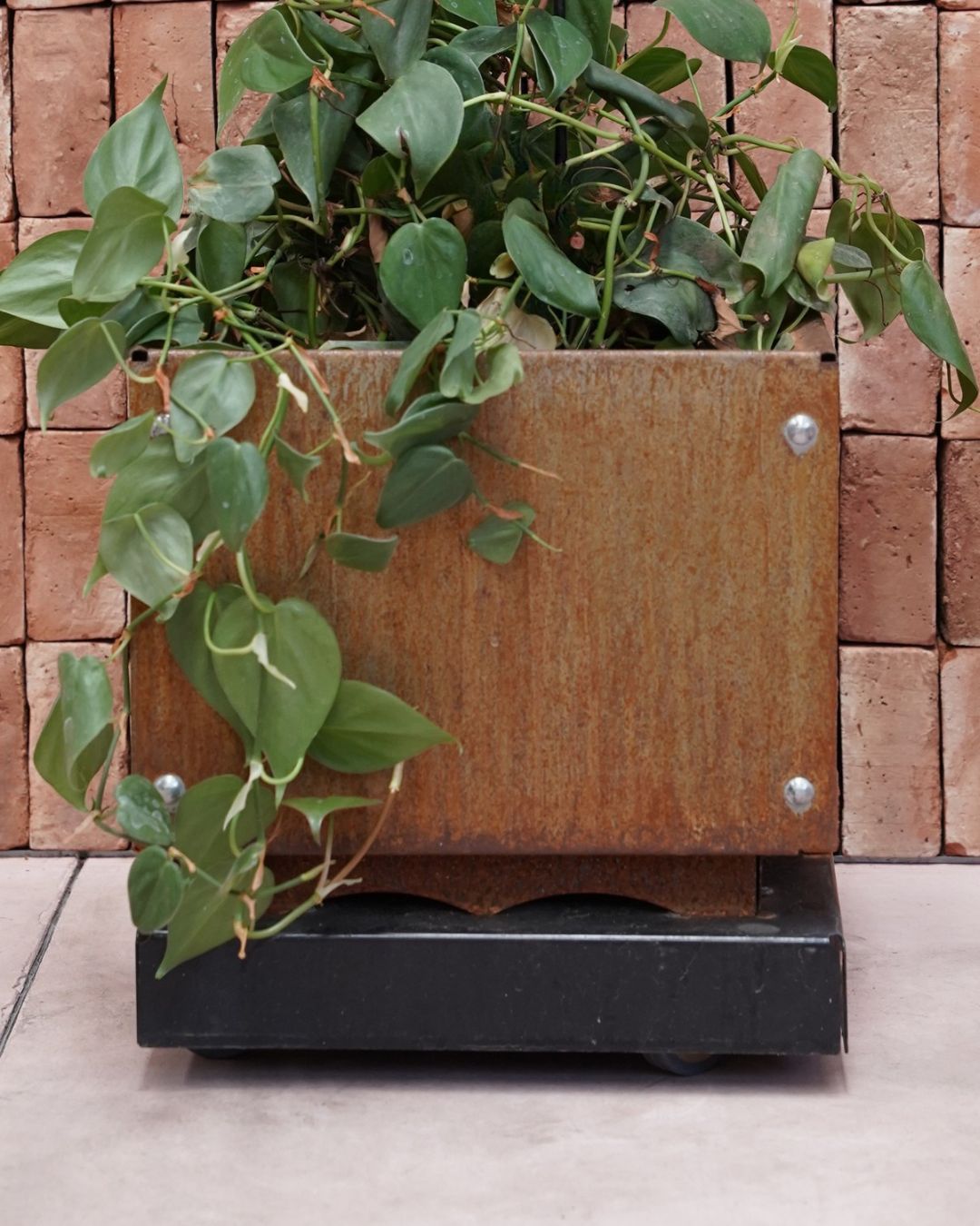 Rolling Plant Stand with Wheels for Squared Pots - Black Finish - 12" or 16"