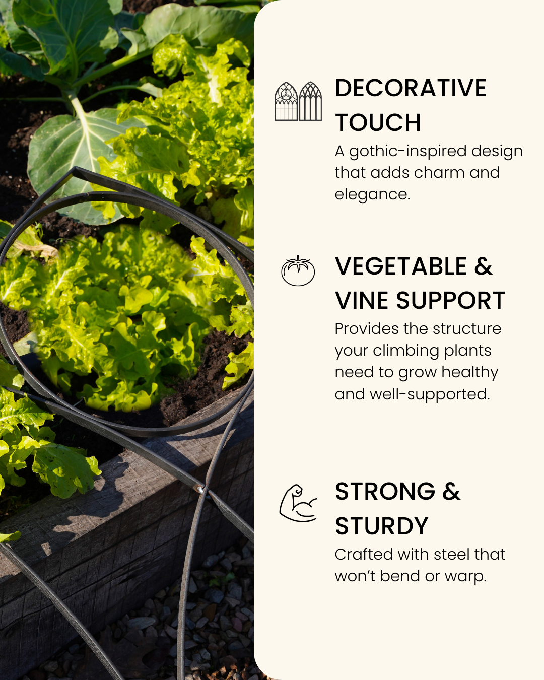 Gothic Metal Garden Trellis - Steel Plant Support & Fence Border