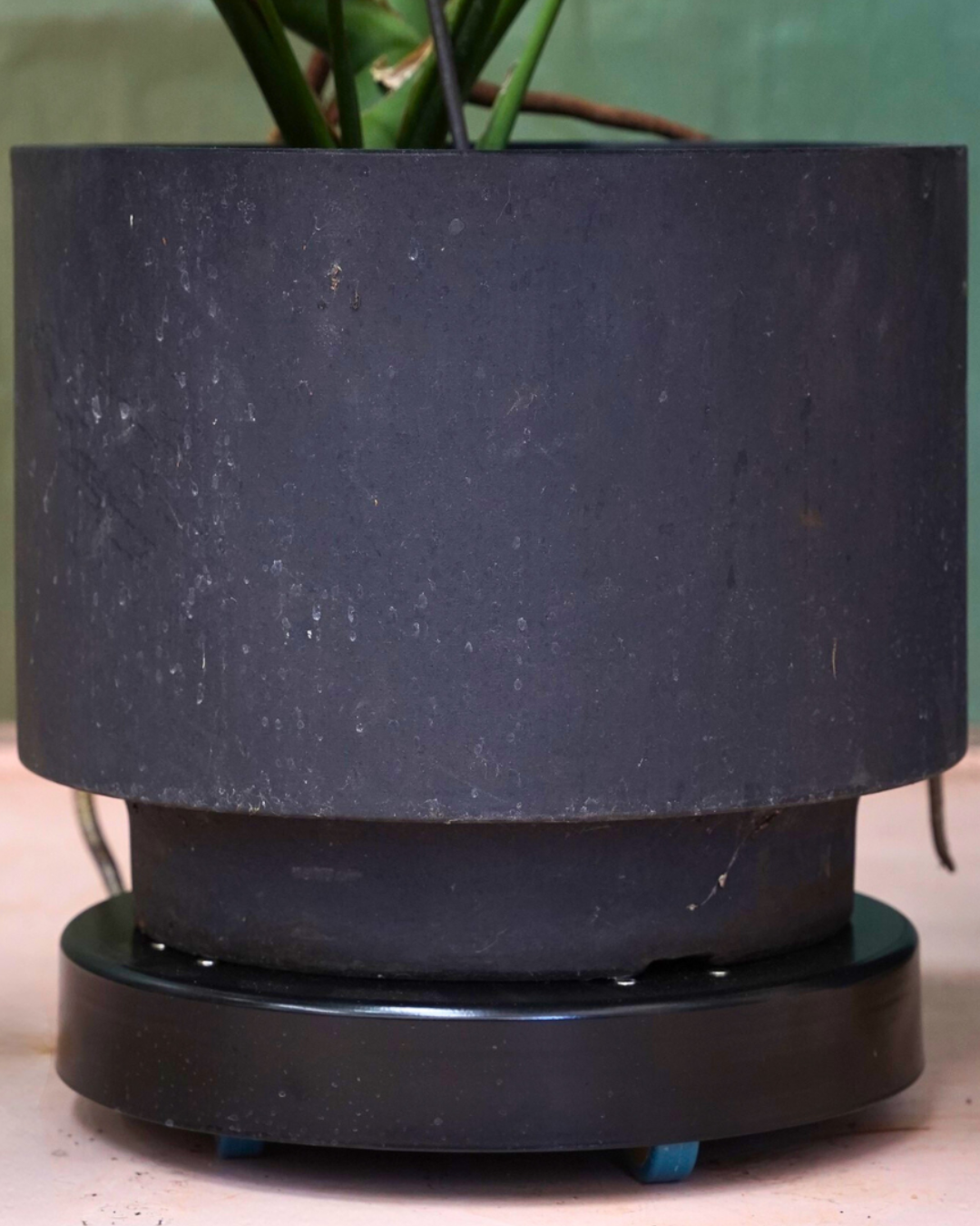 Rolling Planter Stand with Wheels: Black Coated or Corten Steel - 3 Sizes