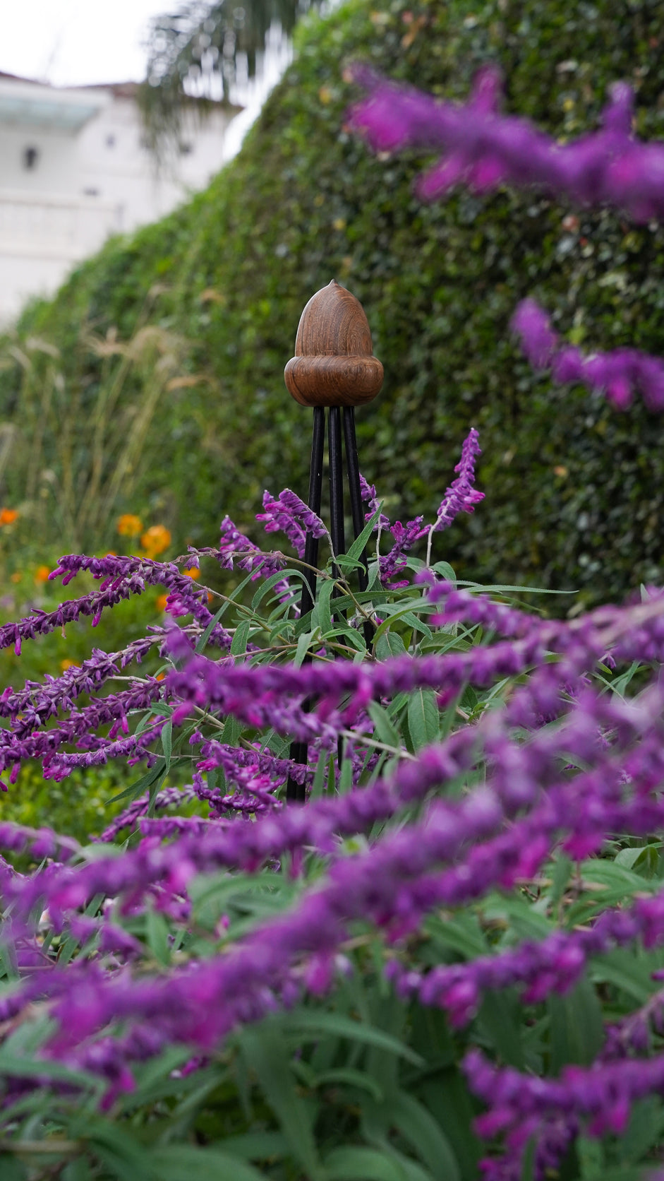 Obelisk Garden Trellis –  71" Large | Black or Unpainted Steel Finish