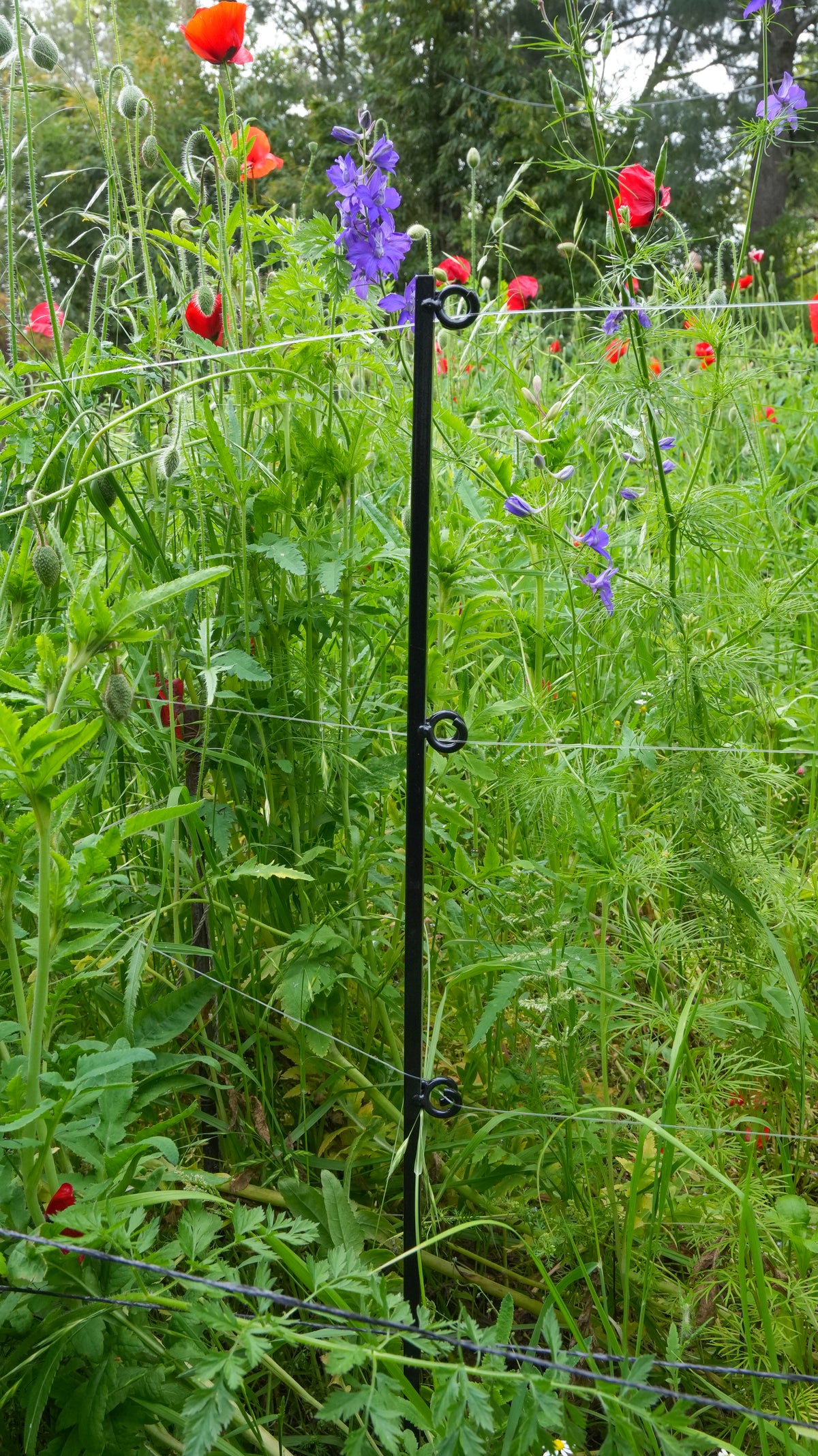 Steel Garden Border Posts: 39" Stakes for Garden Edging & Walkways, Black Coated or Rustic Finish