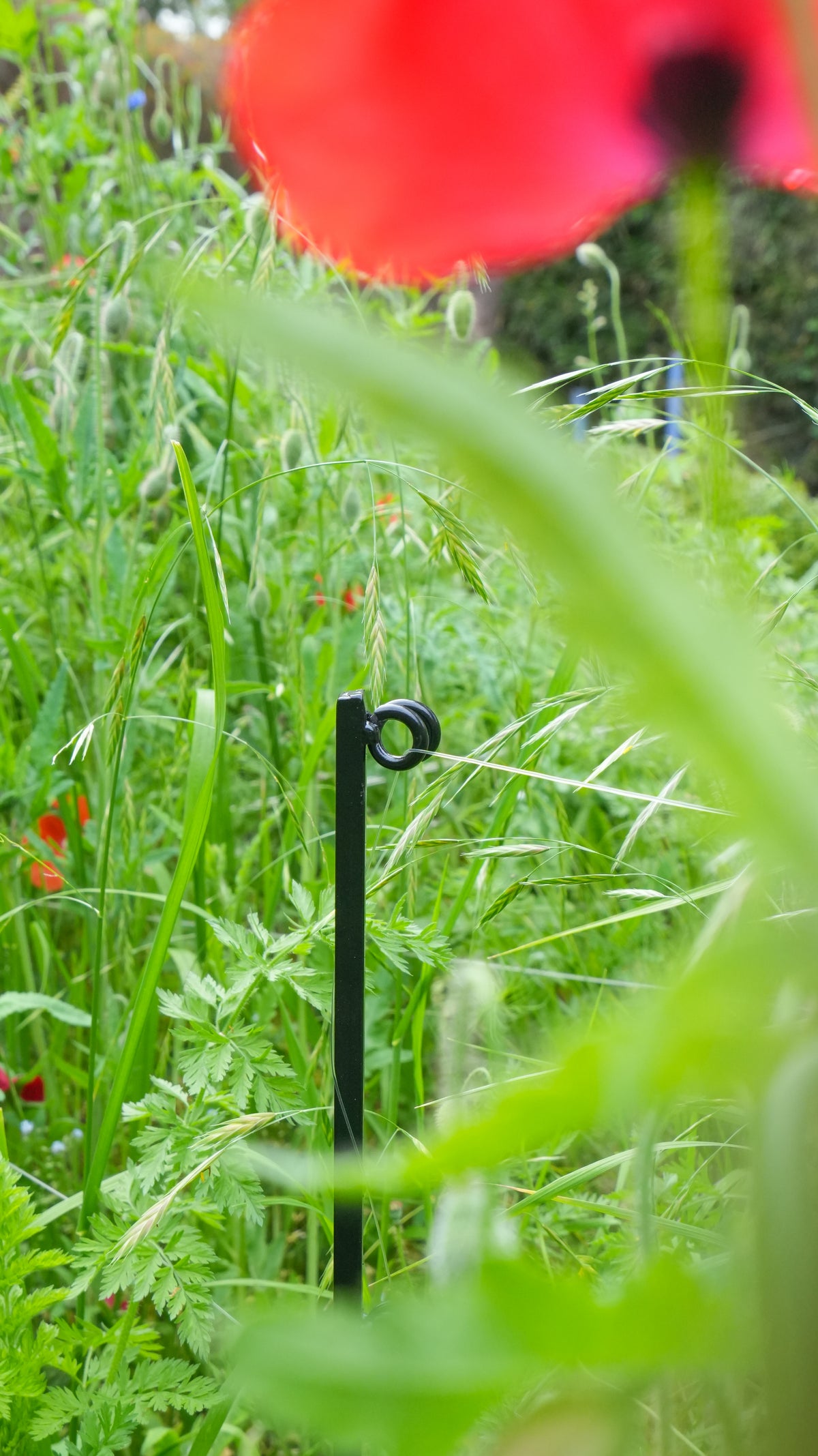 Steel Garden Border Posts: 39" Stakes for Garden Edging & Walkways, Black Coated or Rustic Finish