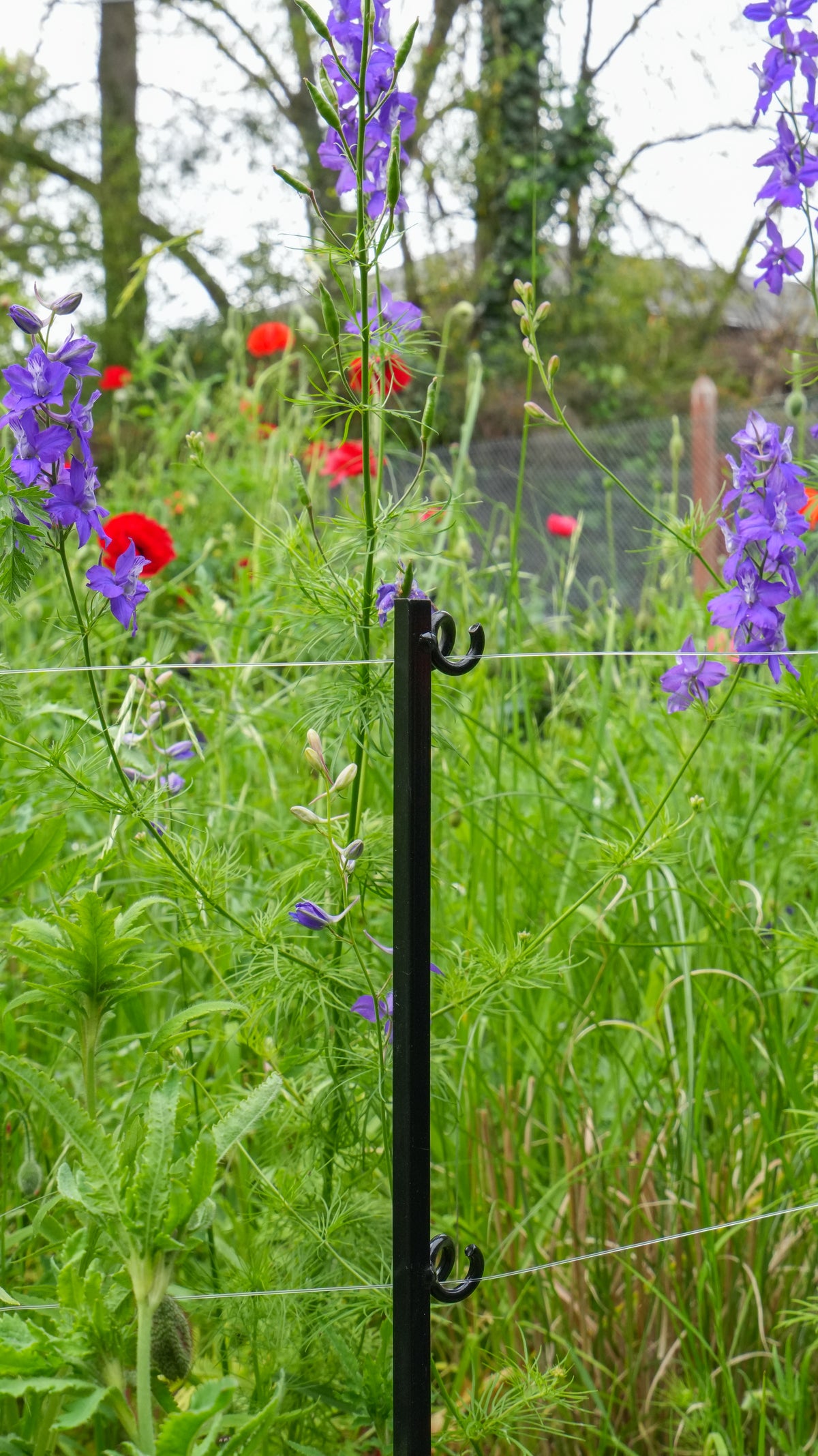 Steel Garden Border Posts: 39" Stakes for Garden Edging & Walkways, Black Coated or Rustic Finish