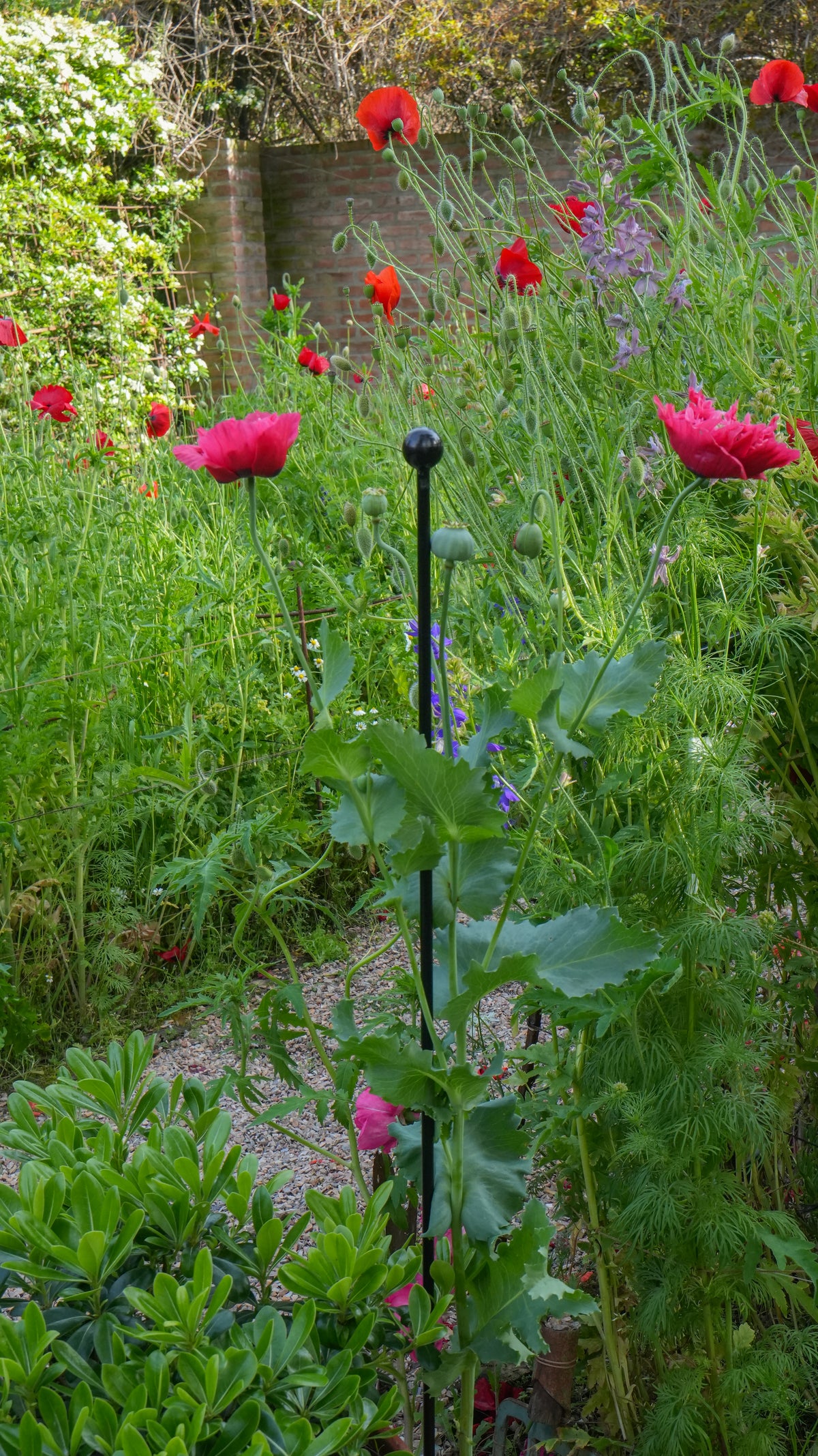 45" Metal Plant Stake