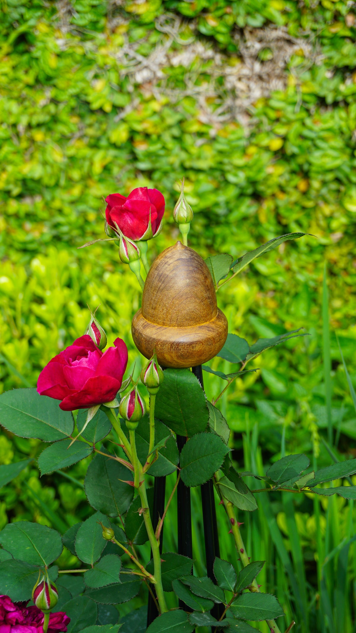 Obelisk Garden Trellis – 42.5” Small | Black or Unpainted Steel Finish