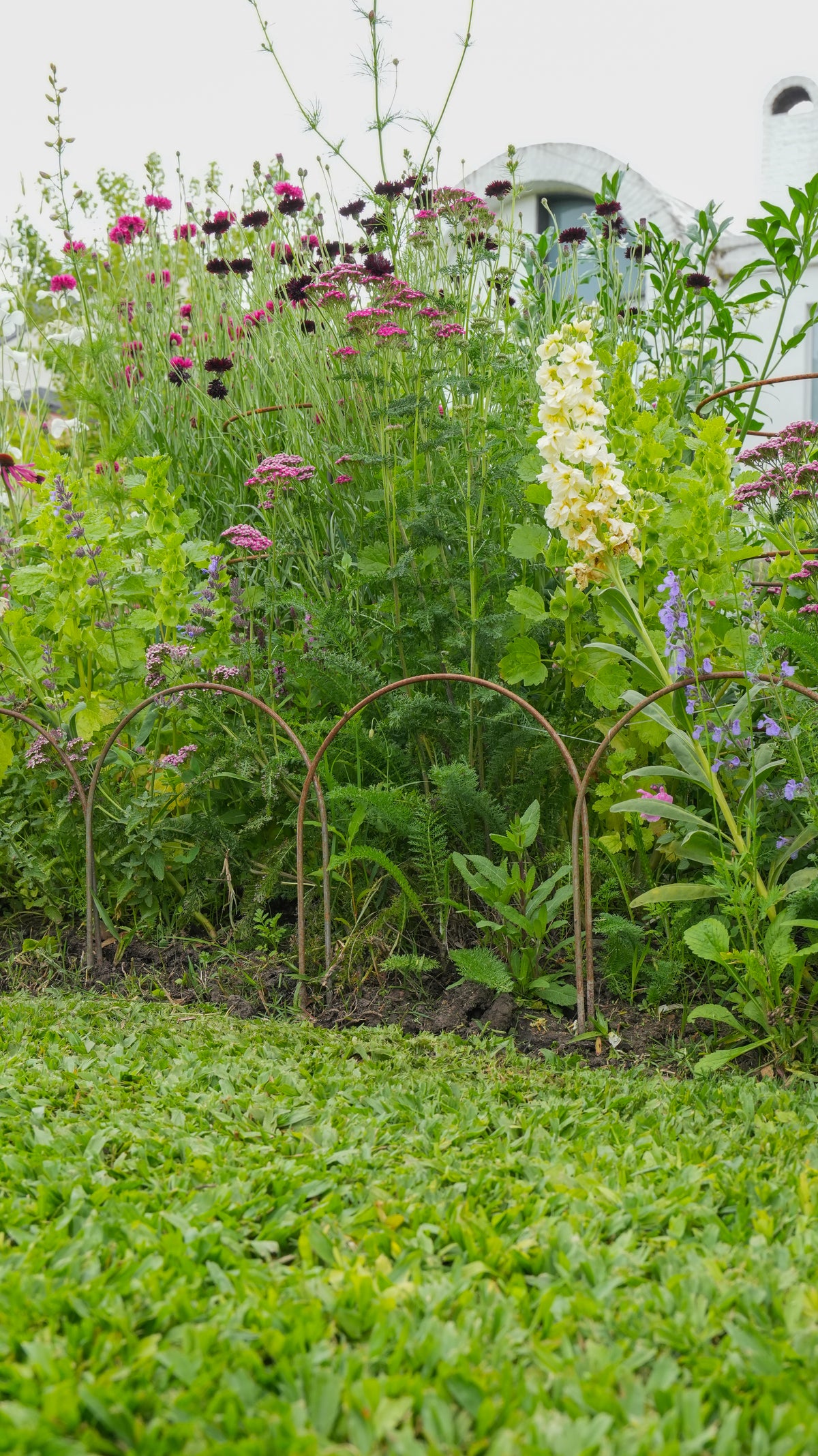 Small Metal Garden Border Fence: 18" Tall, Black Coated or Rustic Steel